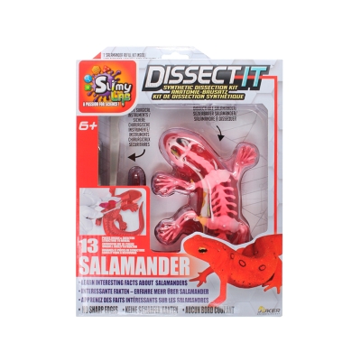 Slimy Lab Dissec It Figura Salamandra