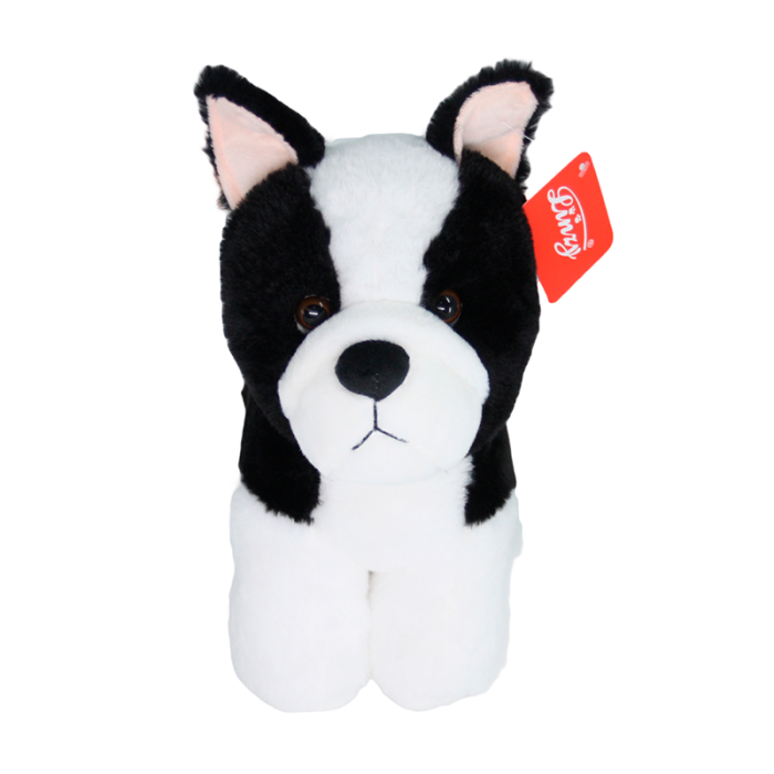 Perro Pequeño Perro Que Parece Oso Panda Peluche Perro 10